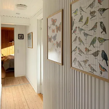بيت للعطل Summer House Near Ristinge On Langeland Nordenbro Vesteregn
